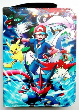 ALBUM-CARTE-POKEMON-2