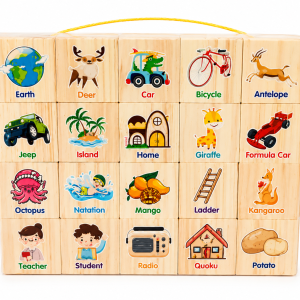 BLOCS-DE-CONSTRUCTION-EN-BOIS-PINDOBO-3ans-1