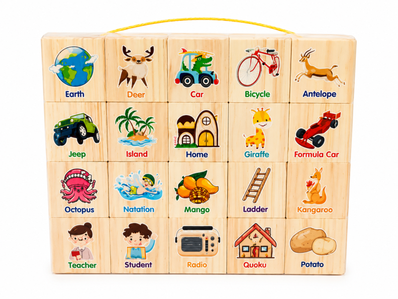 BLOCS-DE-CONSTRUCTION-EN-BOIS-PINDOBO-3ans-1
